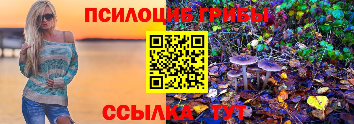 Псилоцибиновые грибы мухоморы  Заводоуковск 